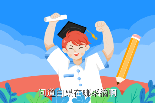 问道白果在哪采摘啊