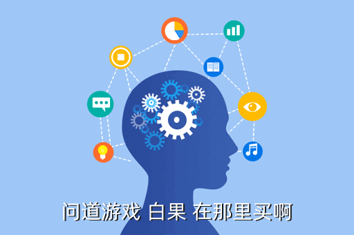 问道游戏 白果 在那里买啊